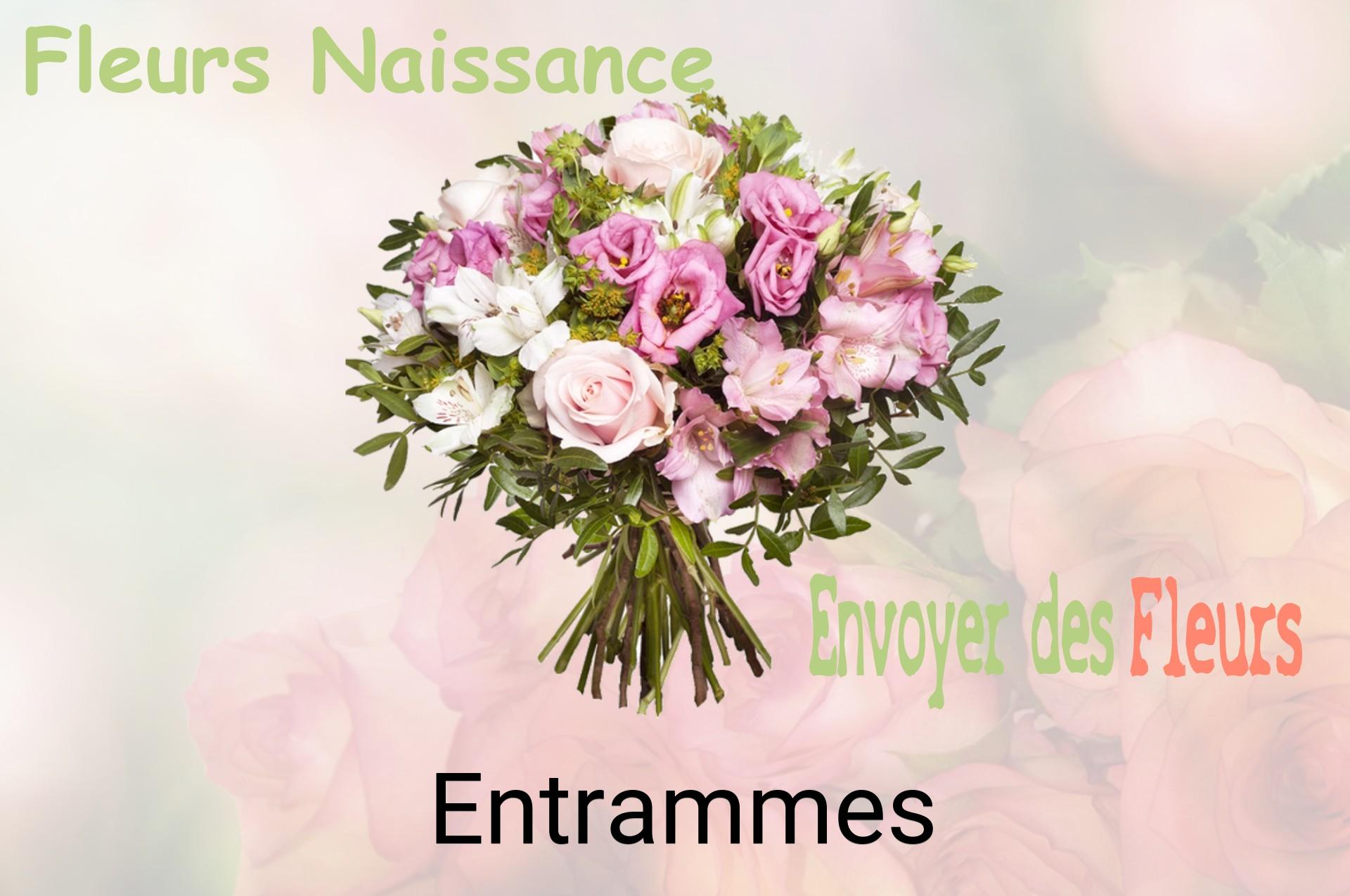 Bouquet de fleurs de naissance livré à Entrammes